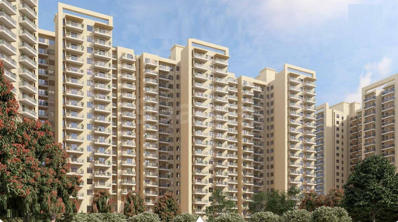 Rising Homes at Dxp 92