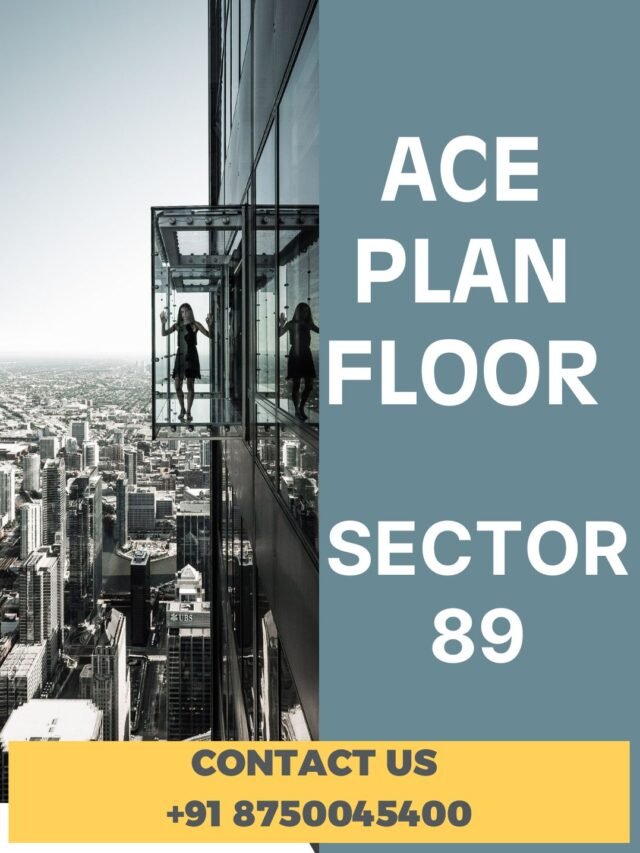 Ace palm Floor